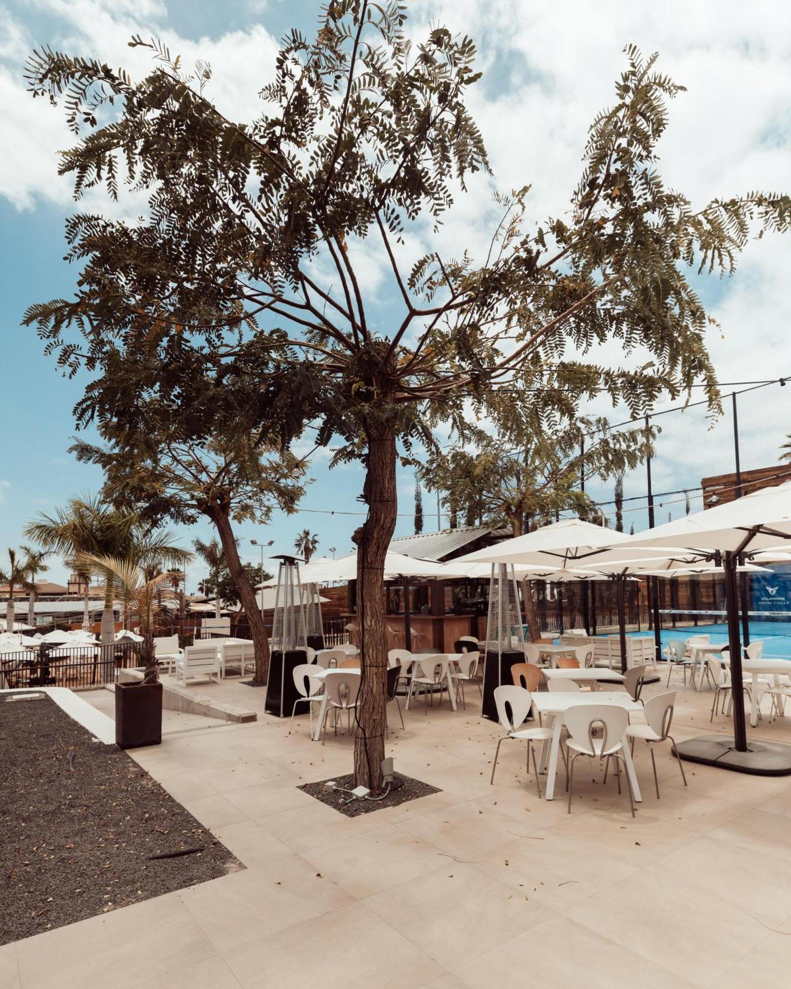 Hotel Baobab Suites Costa Adeje  Eksteriør billede